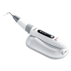 Woodpecker Endo 3
