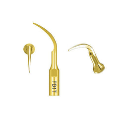 DTE PD1T Titanium Coating Scaler Tip 5pcs