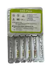 Eksen EKS Pace Rotary File