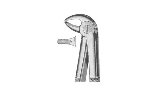 Lower Premolar Forceps