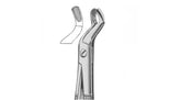 Jockey Forceps