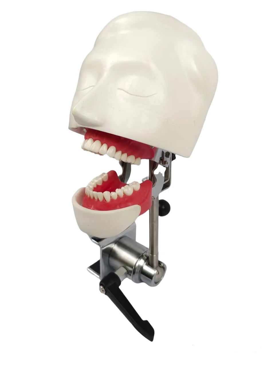 EL banna Dummy Head Simple Type