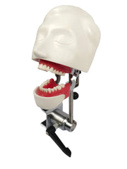 EL banna Dummy Head Simple Type