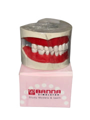 Cast Banna With Hard Teeth