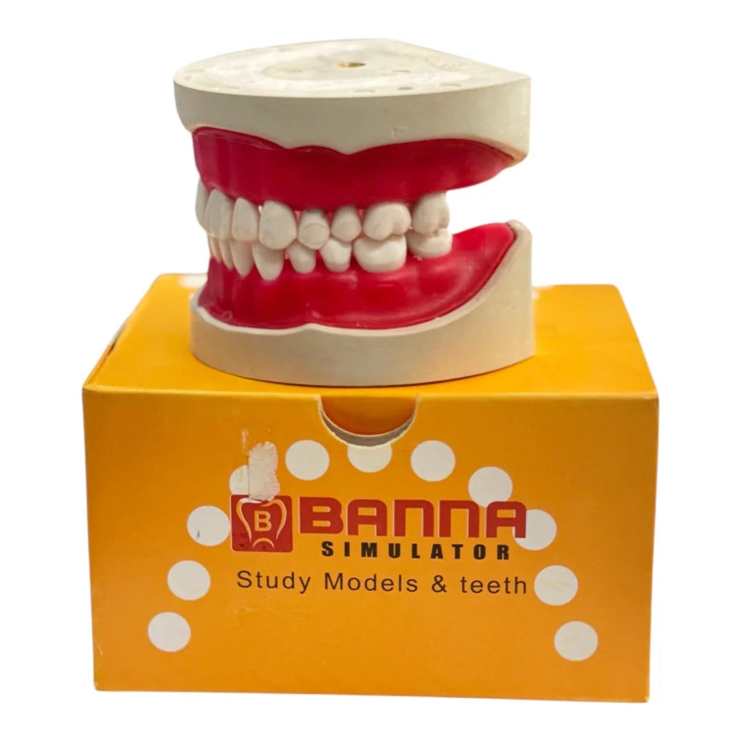Banna Cast Screw Without Articulator