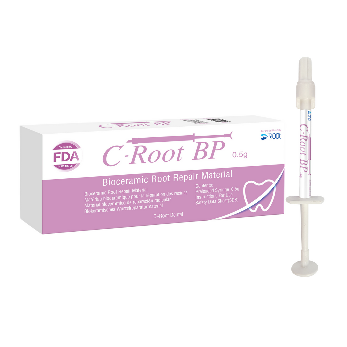 C Root Bp