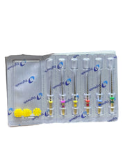 E Flex Gold Assorted Rotary File