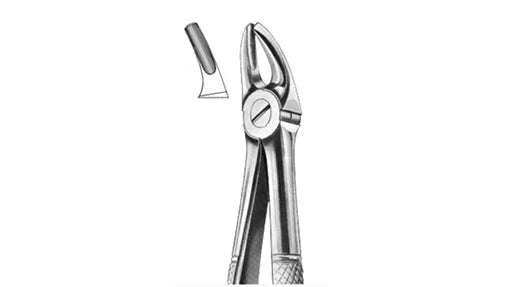 Upper Premolar Forceps
