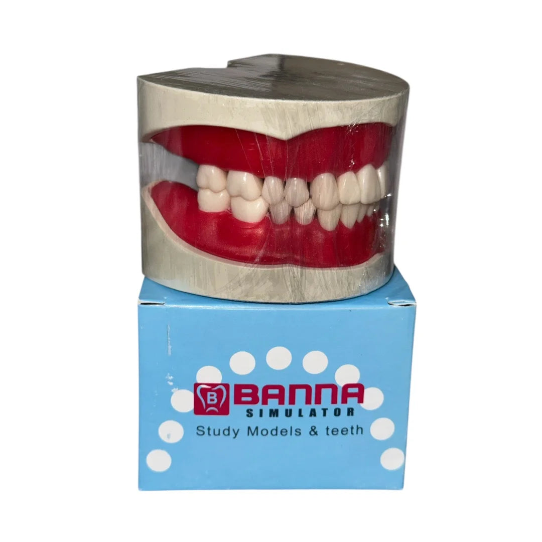 Cast Banna With Extra Hard Teeth
